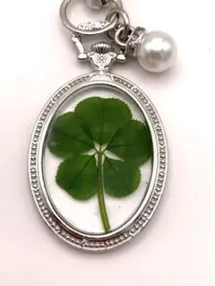 Item thumbnail for item 0b47ccf8-72bf-4b09-b39c-ae35ce9da12b