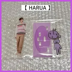 Item thumbnail for item c0d51e63-86dc-4da0-a108-5655863b362e