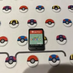 あつまれどうぶつの森　Switchソフト