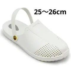 Item thumbnail for item bd687d01-d83e-4c3c-b837-c6992291849e