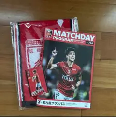 浦和レッズ応援タオル　マッチデイプログラム　選手カード