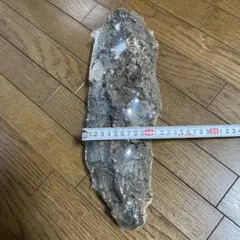 Item thumbnail for item bdf9b7ef-2223-401a-b177-b346c345ce04