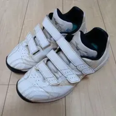 【使用日数24日】MIZUNO ライトレボ トレーナー 25.0