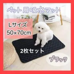 Item thumbnail for item 62112ea5-8bb8-4d93-a179-7213723f22b0