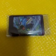 ポケモンフレンダ　ギャラドス　レアピッグ