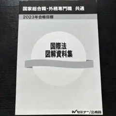 2025年最新】外務専門職 国際法の人気アイテム - メルカリ