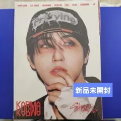 KARMA accordion アルバム 未開封