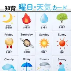 曜日カード　お天気カード　保育教材　幼児教育　知育　視覚支援　療育
