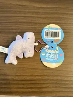 つぶらな瞳の水族館　しゅもくざめ