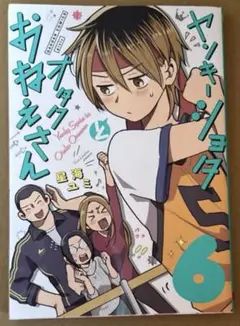 ヤンキーショタとオタクおねえさん 6