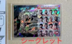 RIZIN　ポテトスティック　メタリックプラカード シークレット　No.30