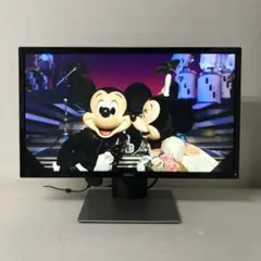 即日受渡❣️全国送料込Dell SE2416H 23.8インチ モニター