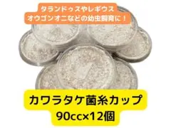 カワラタケ菌糸カップ 90cc 12個
