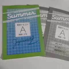 中2国語 夏期テキストA(基礎編)＋テスト集 教育開発出版 未使用品 送料無料！