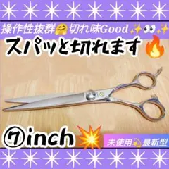 Item thumbnail for item c0cdda57-c0ca-4519-9e7f-416807991ba7