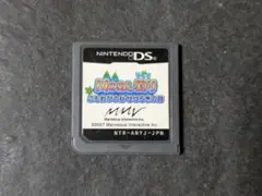 DS 川のぬし釣り こもれびの谷 せせらぎの詩 ソフトのみ