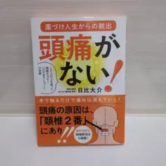 頭痛がない! 薬づけ人生からの脱出 1万人以上を救った頭痛セラピー「日だまりシ…