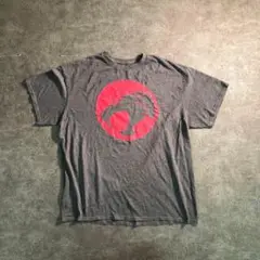 【THUNDER CATS】アメコミ プリントTシャツ 古着usedTSM3