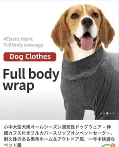 Item thumbnail for item a79949e4-6c8c-4e25-aacf-78712fa0f456
