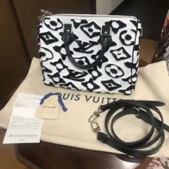 めっちゃ可愛い!ルイヴィトン スピーディー 超美品!