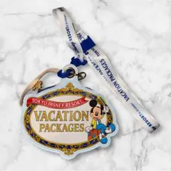 【非売品】ディズニー　バケーションパッケージ　チケットホルダー