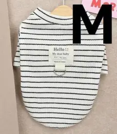 Item thumbnail for item ae0e59b8-460c-482f-b4f0-b865916a2407