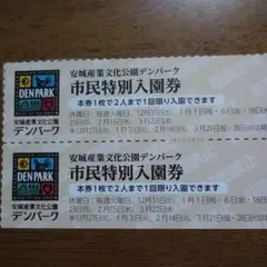 デンパーク入園券 4人分