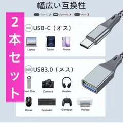 Type-C USB 交換アダプタ　2本　ゲーム　データ転送　ビデオ転送　音楽