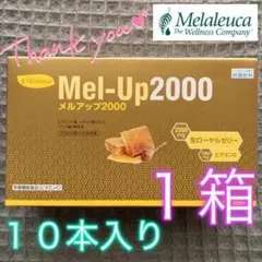 【新品】メラルーカ メルアップ2000〔1箱〕