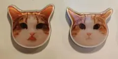 モモ 猫の顔型マグネット 2個セット