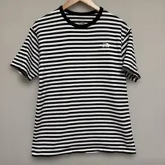 THE NORTH FACE ストライプ Tシャツ 半袖