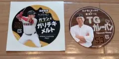 GIANTS ガーリックチキンメルト TGカレーバン