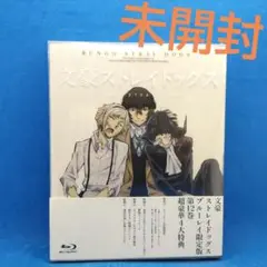 文豪ストレイドッグス　アニメイト　限定版　DVD 全12巻セット 文豪ストレイドッグス 1期+2期 アニメイト限定版全12巻セットBlu