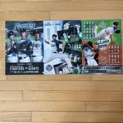 日ハム　大谷翔平　クリアファイル３枚セット