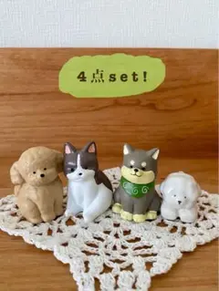 即購入OK◎犬 置物 ナチュラルキッチン 北欧 プレゼント ビションフリーゼ