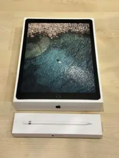 iPad Pro 12.9 256GB/Apple Pencilセット