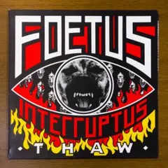 ジム・フィータス FOETUS interruptus LP
