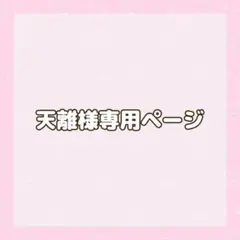 専用ページ