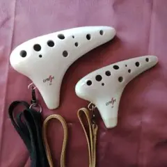 美品 ライリッシュ  オカリナ TC管 
マエストロ 艶あり ケース付き color3.jpg