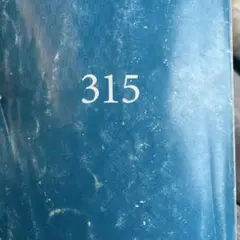 語学・辞書・学習参考書 315
