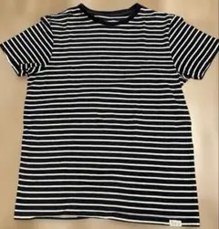 SACOOR Brothers ネイビーとホワイト ストライプ Tシャツ S-M