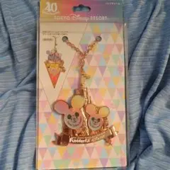 限定　TOKYO DISNEY RESORT バッグチャーム