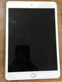 Apple iPad mini3 本体
