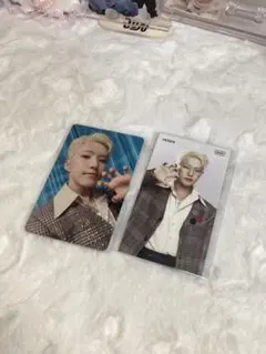 SEVENTEEN BSS TELEPARTY トレカセット・まとめ売り