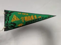 高校野球 愛媛代表 宇和島東 ペナント 第65回 選抜大会 1993年