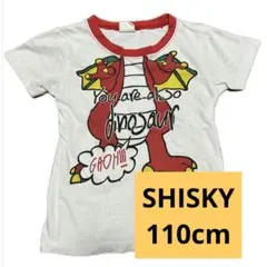 SHISKY 恐竜プリントTシャツ110cm　5