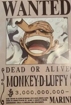 ワンピース ONE PIECE 新四皇手配書ポスターコンプリートセット　非売品 Amazon.co.jp: ONEPIECE ワンピ ース 手配書 ポスター 新四皇4枚