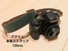 Item thumbnail for item 69aaa4ff-d94d-4edc-b6dd-ef3c8c0940a1