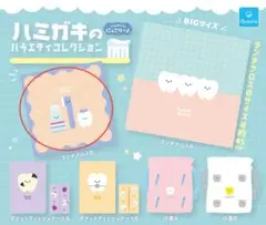 にっこりーノ　ハミガキのバラエティコレクション ランチクロスB