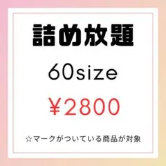 ☆詰め放題　60サイズ